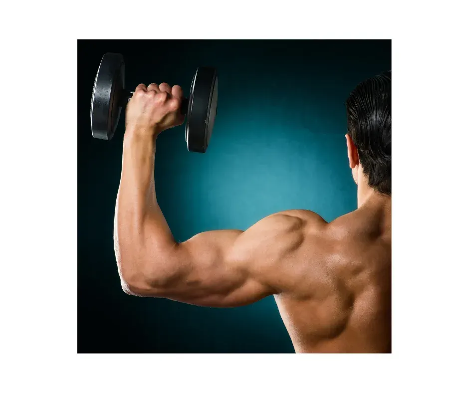 Shoulder Press with Dumbbell